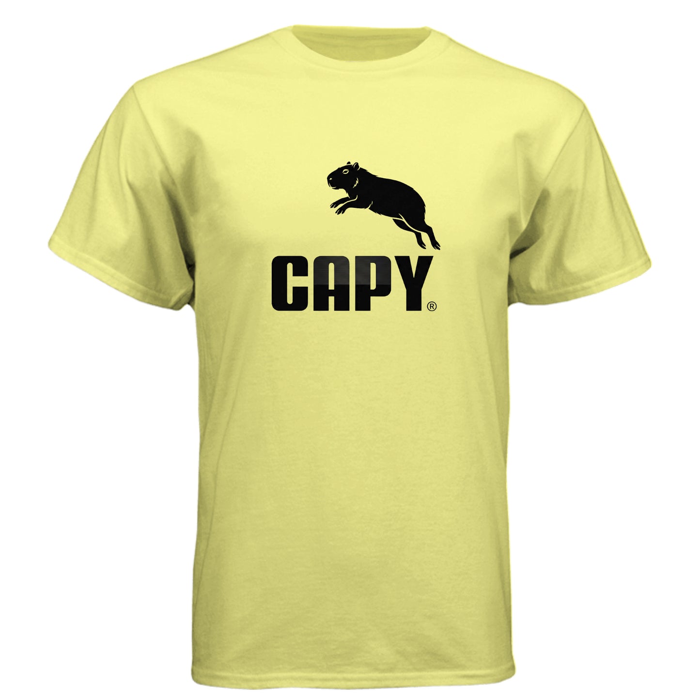 ndm:39458